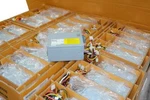 **brand New** Hp C8000 Workstation Power Supply 399324-001, 403011-001. Fixed Price $145.00.